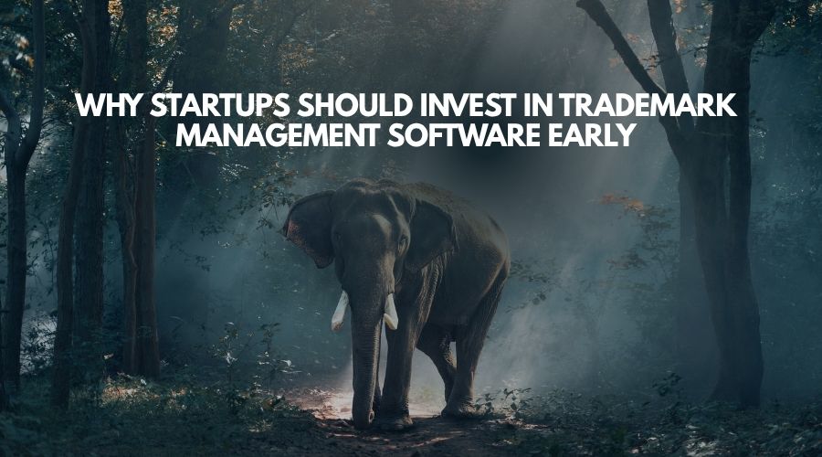 Why Startups Should Invest in Trademark Management Software Early
